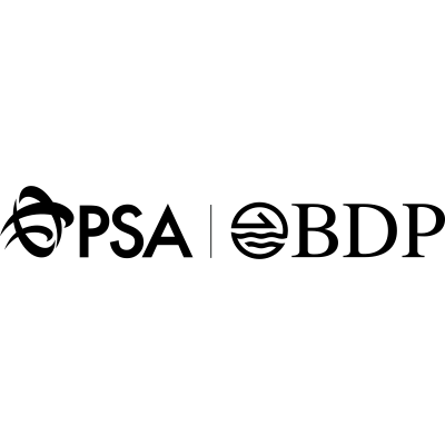 BDP International logo