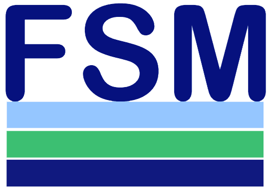 FSM Logistics logo