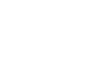 Lake Park Logistics, LLC logo