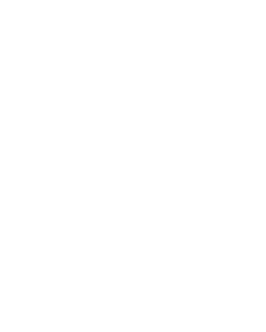Pa-King 3RD PARTY LOGISTICS logo